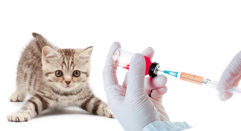 očkovanie zvierat a ľudí proti červom